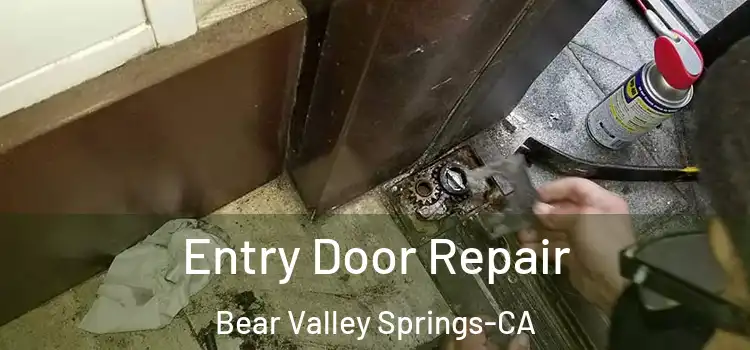  Entry Door Repair Bear Valley Springs-CA