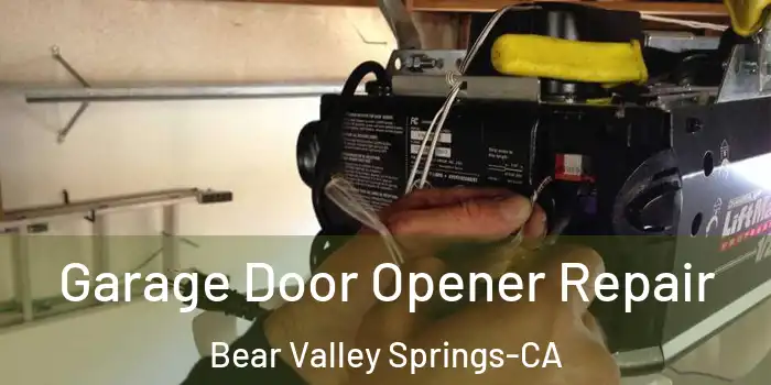 Garage Door Opener Repair Bear Valley Springs-CA