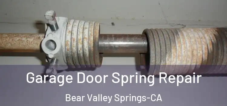  Garage Door Spring Repair Bear Valley Springs-CA